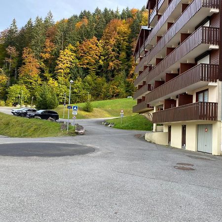 Studio 4 Personnes A 80M Des Pistes De Ski Saint-Jean-dʼAulps 外观 照片
