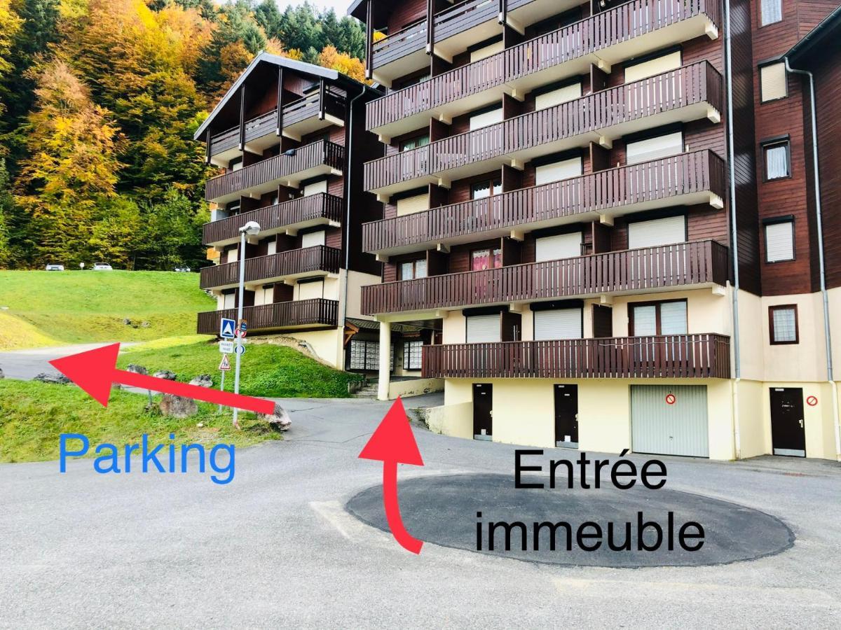 Studio 4 Personnes A 80M Des Pistes De Ski Saint-Jean-dʼAulps 外观 照片