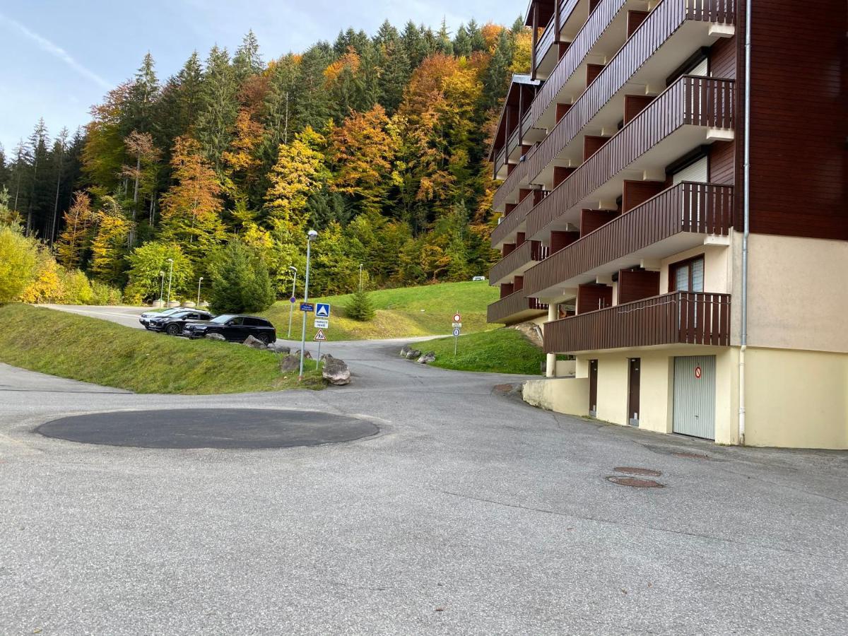 Studio 4 Personnes A 80M Des Pistes De Ski Saint-Jean-dʼAulps 外观 照片